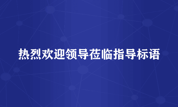 热烈欢迎领导莅临指导标语