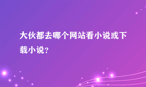 大伙都去哪个网站看小说或下载小说？