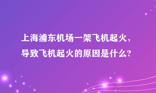 上海浦东机场一架飞机起火，导致飞机起火的原因是什么?