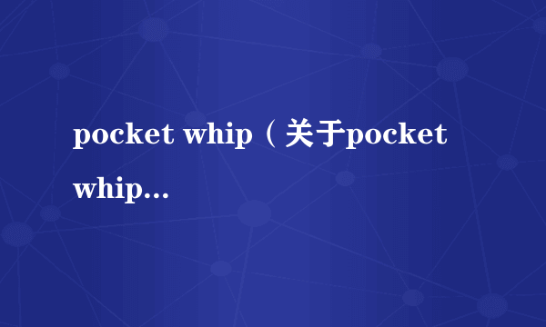 pocket whip（关于pocket whip的简介）