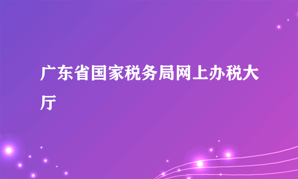 广东省国家税务局网上办税大厅