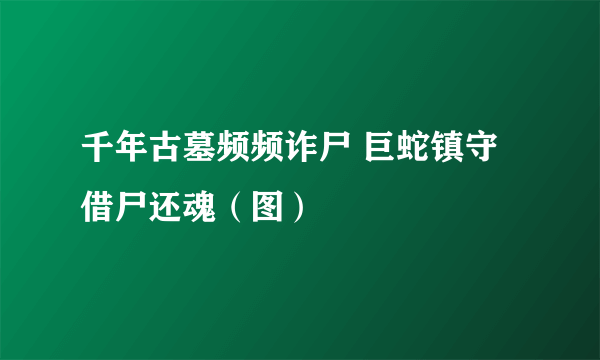 千年古墓频频诈尸 巨蛇镇守借尸还魂（图）