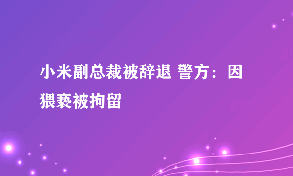 小米副总裁被辞退 警方：因猥亵被拘留