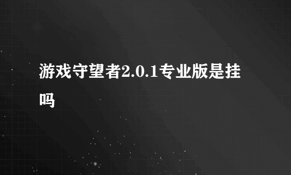 游戏守望者2.0.1专业版是挂吗