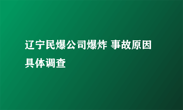 辽宁民爆公司爆炸 事故原因具体调查