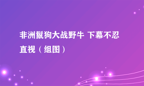 非洲鬣狗大战野牛 下幕不忍直视（组图）