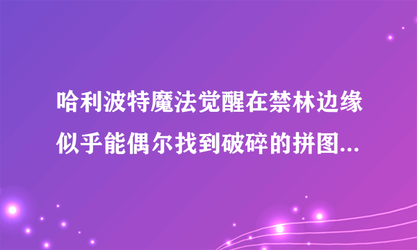 哈利波特魔法觉醒在禁林边缘似乎能偶尔找到破碎的拼图寻宝攻略