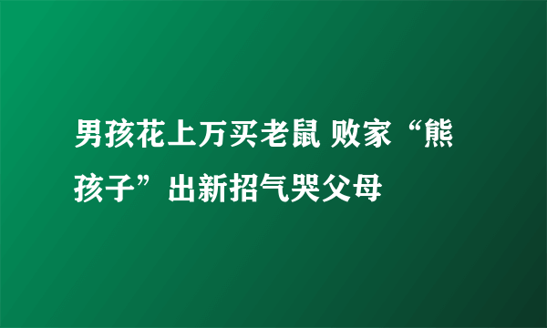 男孩花上万买老鼠 败家“熊孩子”出新招气哭父母