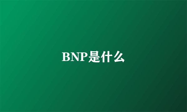 BNP是什么