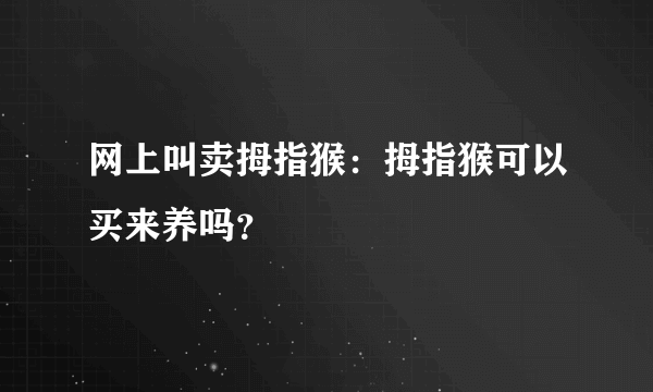 网上叫卖拇指猴：拇指猴可以买来养吗？