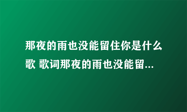 那夜的雨也没能留住你是什么歌 歌词那夜的雨也没能留住你是什么歌