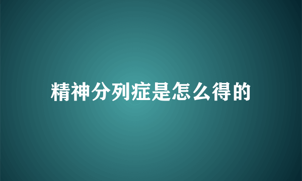 精神分列症是怎么得的