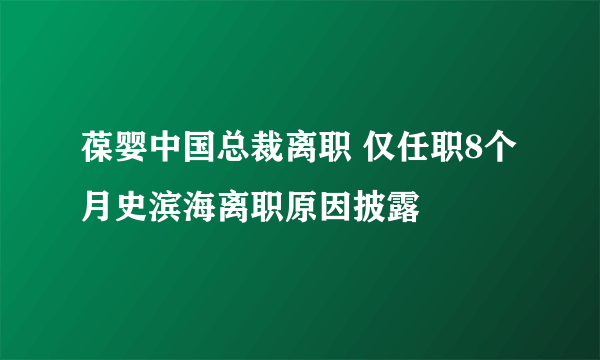 葆婴中国总裁离职 仅任职8个月史滨海离职原因披露