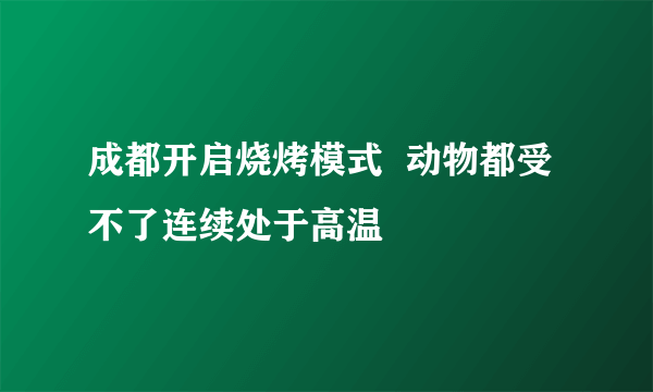 成都开启烧烤模式  动物都受不了连续处于高温