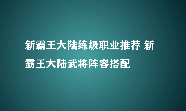 新霸王大陆练级职业推荐 新霸王大陆武将阵容搭配