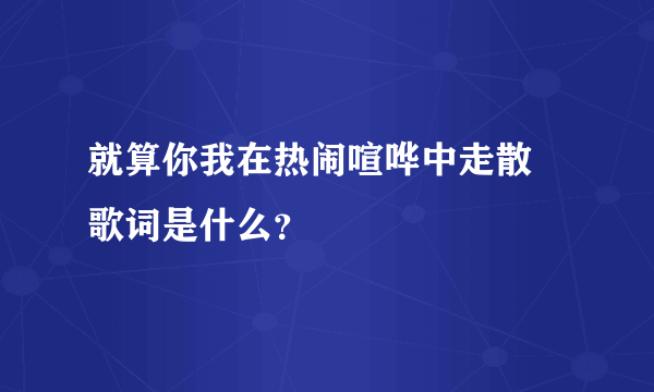 就算你我在热闹喧哗中走散 歌词是什么？