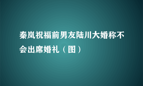 秦岚祝福前男友陆川大婚称不会出席婚礼（图）