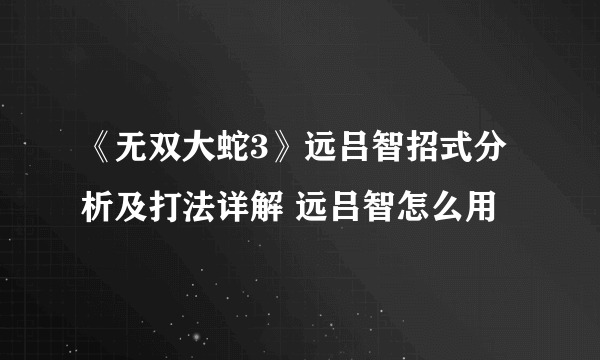 《无双大蛇3》远吕智招式分析及打法详解 远吕智怎么用