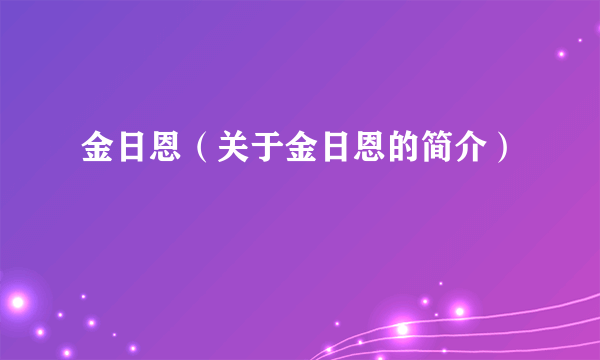 金日恩（关于金日恩的简介）