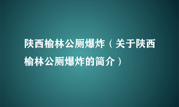 陕西榆林公厕爆炸（关于陕西榆林公厕爆炸的简介）