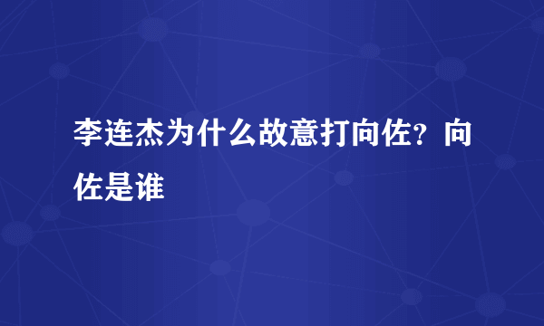 李连杰为什么故意打向佐？向佐是谁