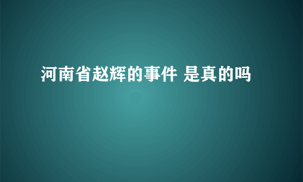 河南省赵辉的事件 是真的吗