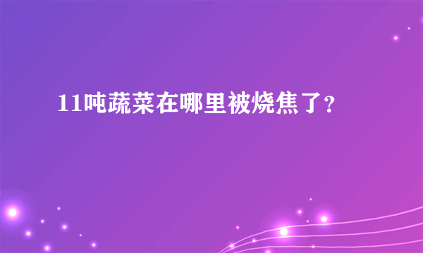 11吨蔬菜在哪里被烧焦了？