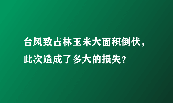 台风致吉林玉米大面积倒伏，此次造成了多大的损失？