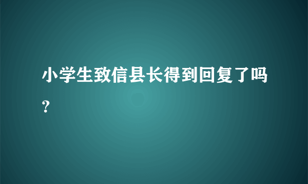 小学生致信县长得到回复了吗？