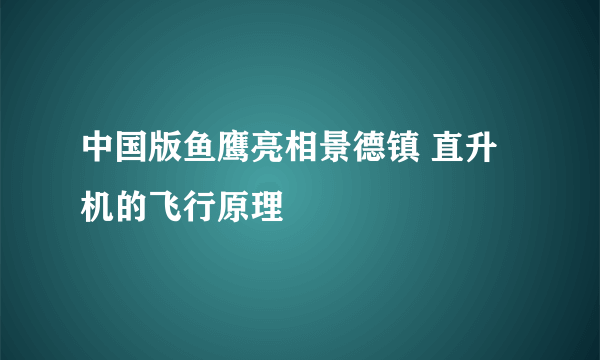 中国版鱼鹰亮相景德镇 直升机的飞行原理