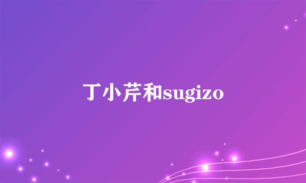 丁小芹和sugizo