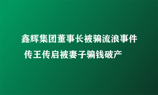 鑫辉集团董事长被骗流浪事件 传王传启被妻子骗钱破产