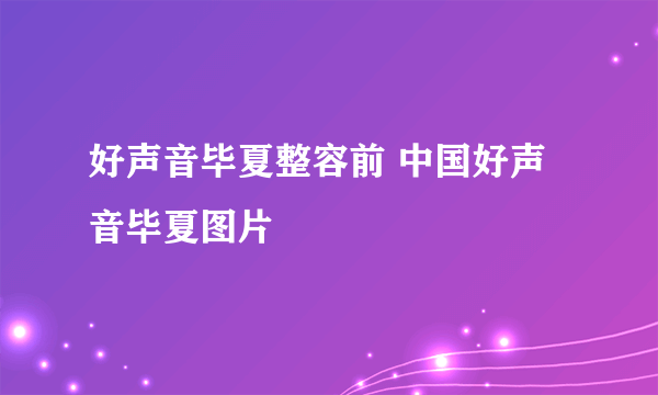 好声音毕夏整容前 中国好声音毕夏图片