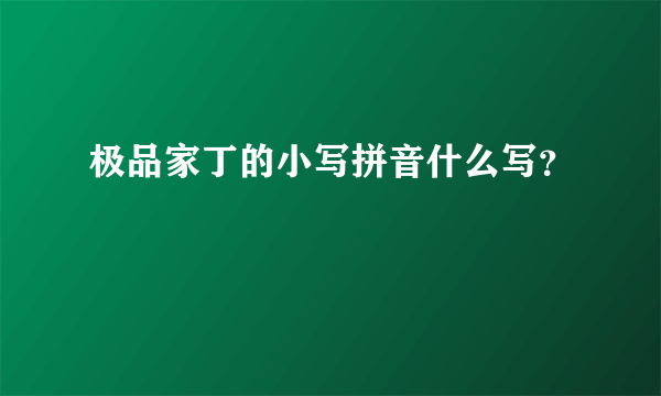 极品家丁的小写拼音什么写？