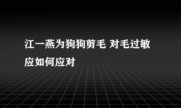 江一燕为狗狗剪毛 对毛过敏应如何应对