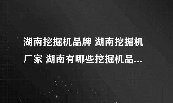 湖南挖掘机品牌 湖南挖掘机厂家 湖南有哪些挖掘机品牌【品牌库】