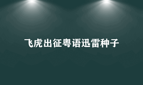 飞虎出征粤语迅雷种子