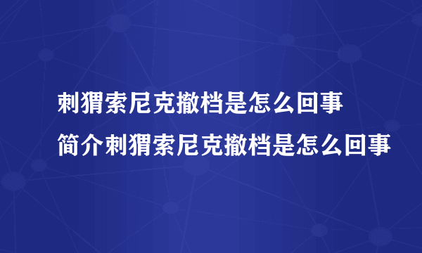 刺猬索尼克撤档是怎么回事 简介刺猬索尼克撤档是怎么回事