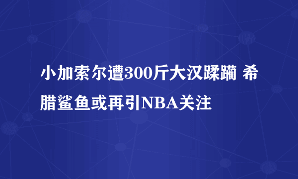 小加索尔遭300斤大汉蹂躏 希腊鲨鱼或再引NBA关注