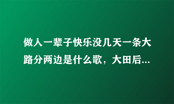 做人一辈子快乐没几天一条大路分两边是什么歌，大田后生仔歌曲介绍-飞外