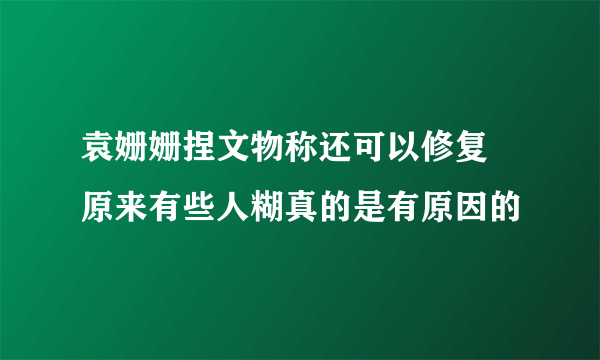 袁姗姗捏文物称还可以修复 原来有些人糊真的是有原因的