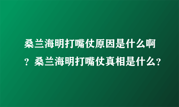 桑兰海明打嘴仗原因是什么啊？桑兰海明打嘴仗真相是什么？