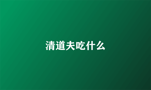 清道夫吃什么