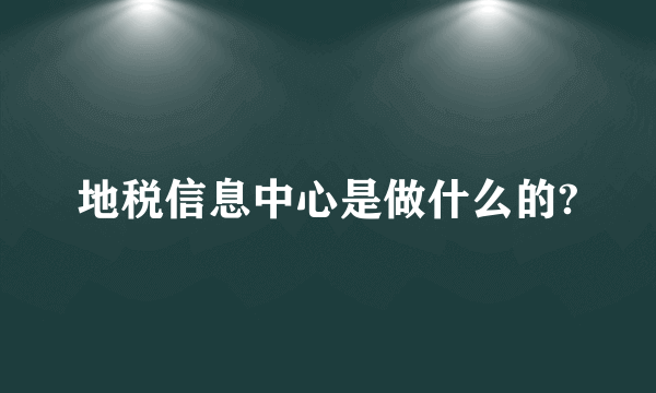 地税信息中心是做什么的?