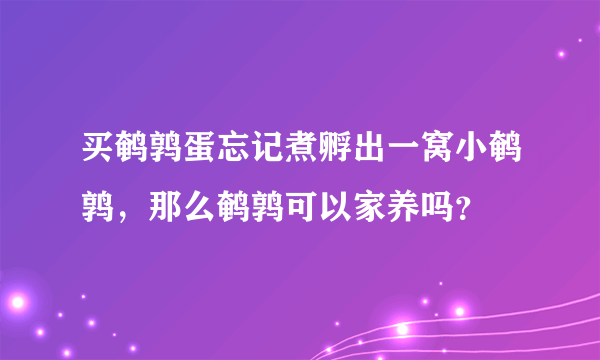 买鹌鹑蛋忘记煮孵出一窝小鹌鹑，那么鹌鹑可以家养吗？