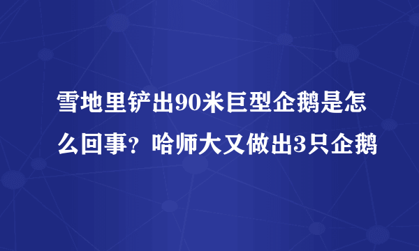 雪地里铲出90米巨型企鹅是怎么回事？哈师大又做出3只企鹅