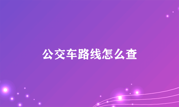 公交车路线怎么查