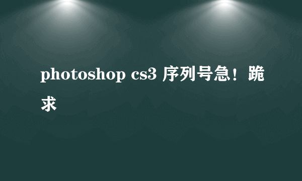 photoshop cs3 序列号急！跪求