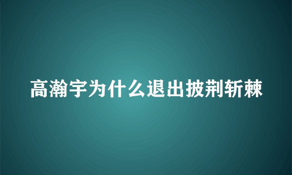 高瀚宇为什么退出披荆斩棘