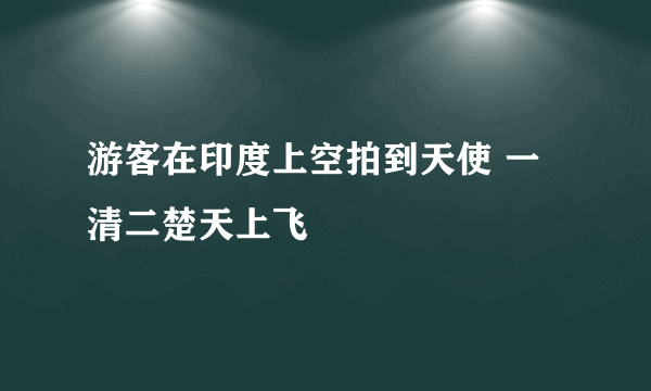 游客在印度上空拍到天使 一清二楚天上飞